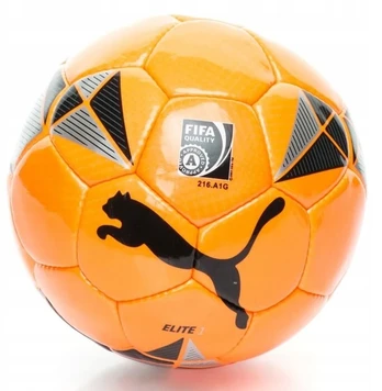 Futbolo kamuolys Puma Elite, dydis 5 + pompa