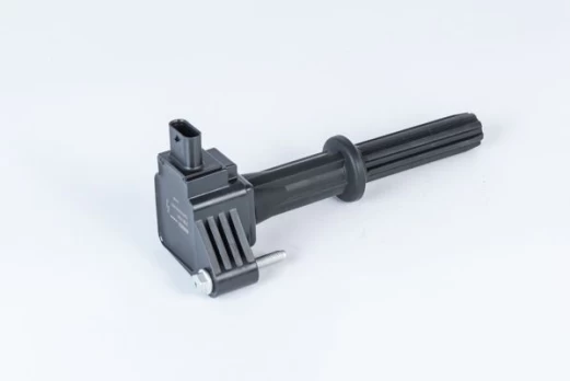 Ritė, uždegimas BorgWarner (BERU) ZSE235