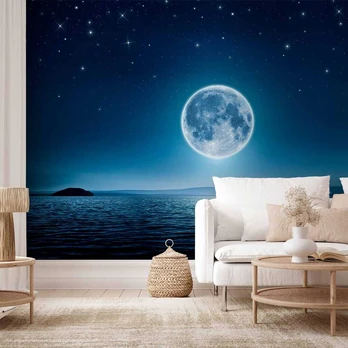 Artgeist Fototapetas - Moonlit night
