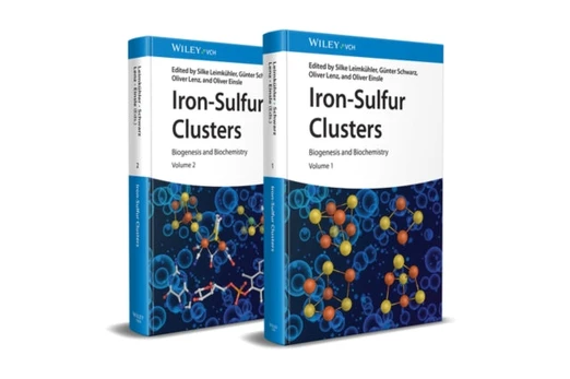 Iron-Sulfur Clusters