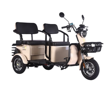 Elektrinis triratis RIDE-E LARGO (EEC) su galine sėdyne/krovinių vieta 1000W 32Ah