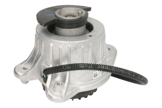 Variklio montavimas LEMFÖRDER 42679 01