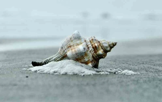 Plakatas Abstrakcija 1081; Dydis A2, A1, A0 formato