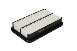 Oro filtras FILTRON AP147 kaina