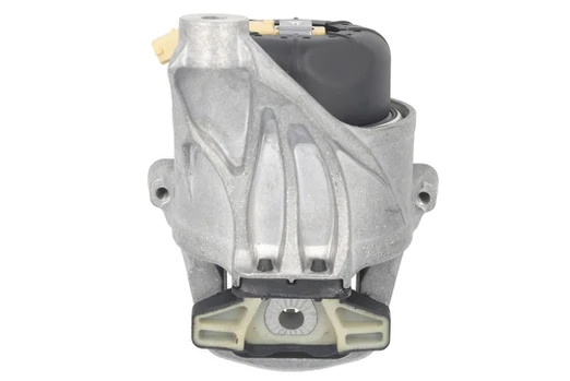 Variklio montavimas TEDGUM TED94132