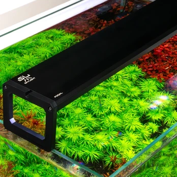 Skylight FOQAL F2.5XL.105Ah