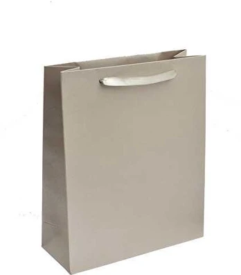 Jk Box Sidabrinis paper gift bag EC-5 / AG