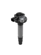 Ritė, uždegimas BorgWarner (BERU) ZS601