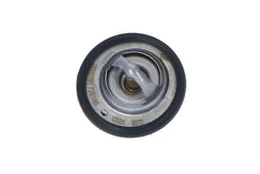 Termostatas, aušinimo skystis NRF 725146