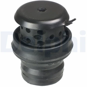 Variklio montavimas DELPHI TEM058