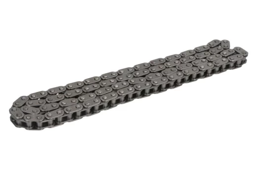 INA 553 0301 10 Timing chain