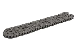 INA 553 0301 10 Timing chain kaina
