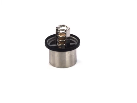 termostatas, aušinimo skystis THERMOTEC D2DA001TT