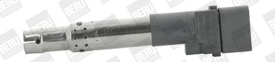 Ritė, uždegimas BorgWarner (BERU) ZSE044