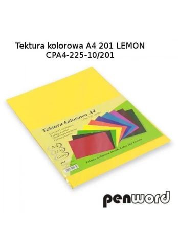 Kartonas A4/ 10l 225g PenWord geltonas