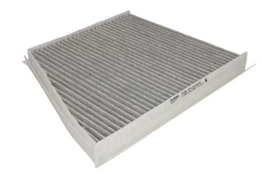 Salono filtras PURRO PUR-PC3029AG