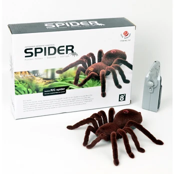 Voras Tarantulas su Nuotoliniu Pulteliu