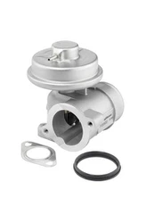 ERG vožtuvas BorgWarner (Wahler) 712052D