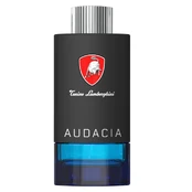 Tonino Lamborghini Techno Audacia EDT tualetinis vanduo vyrams, 100 ml kaina