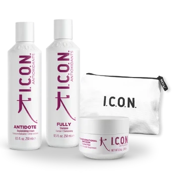 I.C.O.N. ANTIOXIDANTS maitinantis rinkinys