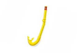 Nardymo vamzdelis Intex 55922, mėlynas/geltonas/žalias