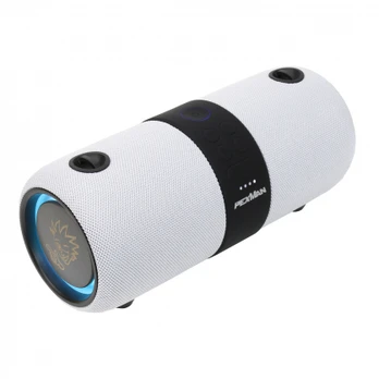 Nešiojama kolonėlė PexMan PM-10W