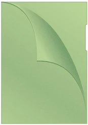 Q-Connect Q-CONNECT WRAPPER, TIPO L, PP, A4, PEAD, 120 MICRO, freza KF00307 kaina