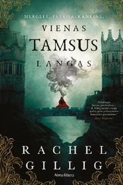 Vienas tamsus langas kaina