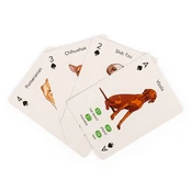 Kikkerland - Paws &amp; Play Playing Cards - (GG274) kaina