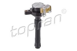 Ritė, uždegimas TOPRAN 500 960 kaina