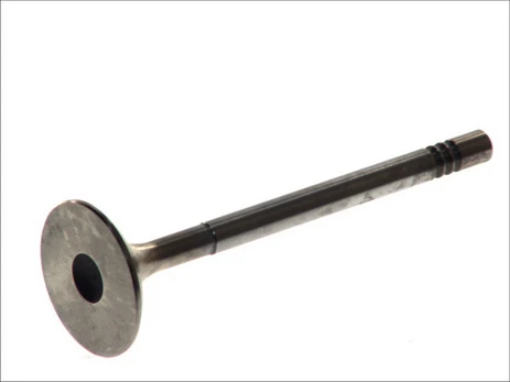 FRECCIA 4740/BMCR Inlet valve