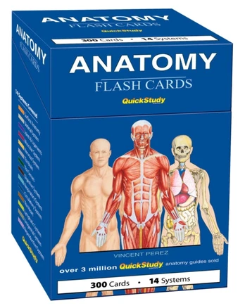 Anatomy Flash Cards (300 Cards)