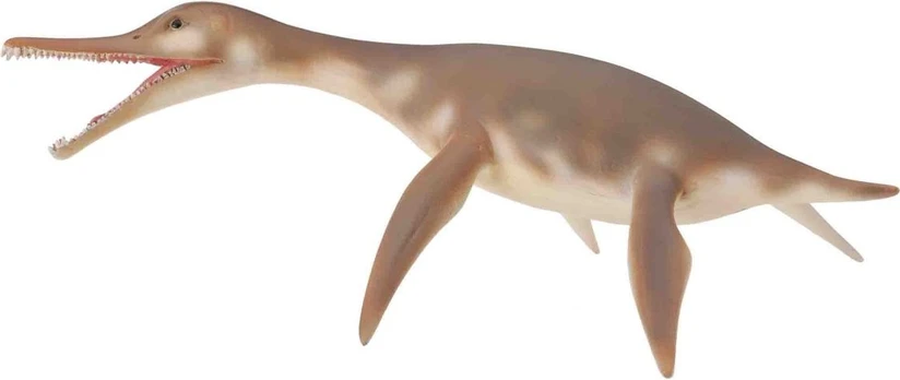 Žaislinė figūrėlė Collecta Dolichorhynchops 88520, 12.2 cm