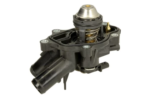 termostatas, aušinimo skystis THERMOTEC D2M015TT