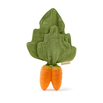 Oli&Carol Cathy the Carrot Mini Doudou-Teether, 0+