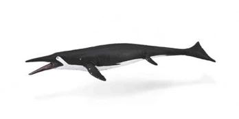 COLLECTA Shastasaurus (L) 88974