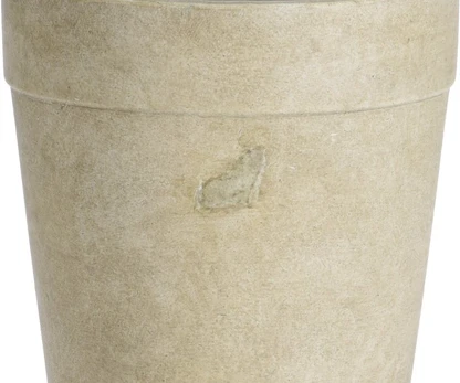 Kambarinis keraminis vazonas, smėlio sp., 16 x 16 x 15 cm.