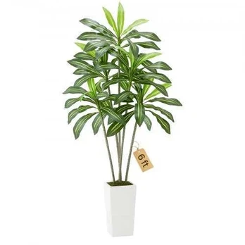 Dirbtinė Dracena su baltu vazonu