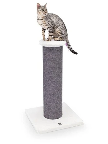Draskyklė Petrebels Savannah, 86 cm, balta/pilka
