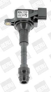 Ritė, uždegimas BorgWarner (BERU) ZSE079