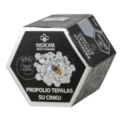 Propolio tepalas su cinku 20g kaina