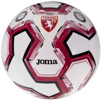 Joma kamuolys
