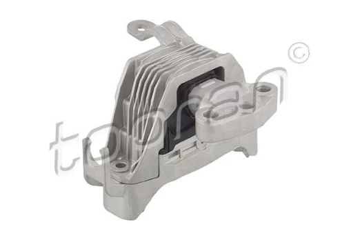 Variklio montavimas TOPRAN 208 291