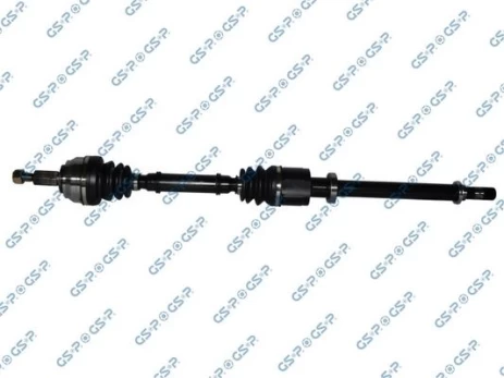 Pusašis GSP 250455