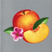 CD Phoenix - Bankrupt!