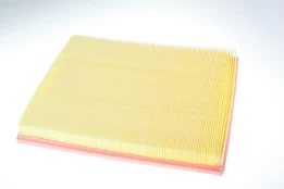Oro filtras AUTOMEGA 180032810 kaina