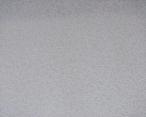 Tapetai 2515-01 B98, dažomi, balta