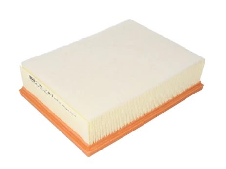 Oro filtras MANN-FILTER C25118/1