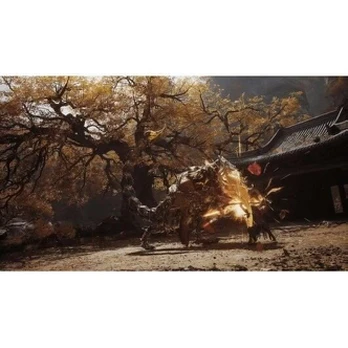 Juodosios Mito: Wukong Playstation 5