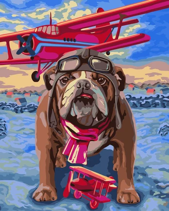 Tapyba pagal skaičius Wizardi Pilot, 40x50 cm